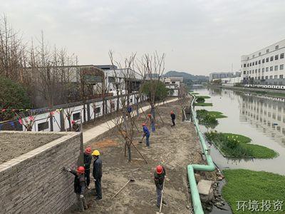 代区长章登峰一行调研公司官河整治工程-向导眷注-杭州萧山水务投资生长有限公司
