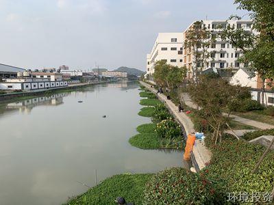 代区长章登峰一行调研公司官河整治工程-向导眷注-杭州萧山水务投资生长有限公司