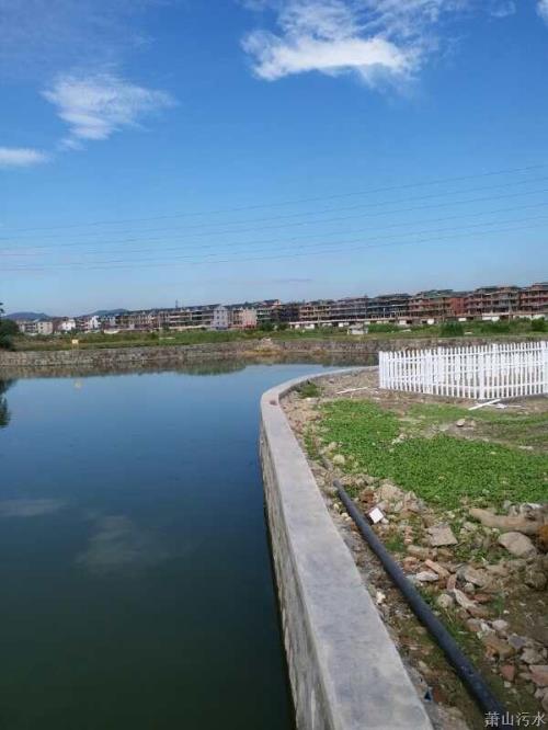 助力绿水青山建设  党员自愿护航十九大 - 党建园地 - 杭州萧山情形集团有限公司