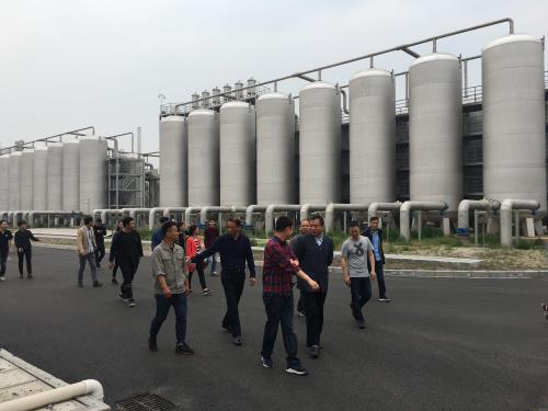 临江厂提标工程顺遂通过水质专项验收 - 77779193永利官网新闻 - 杭州萧山情形集团有限公司