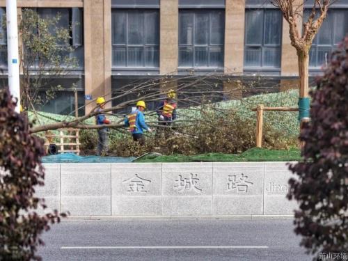 副区长方军检查金城路、市心路刷新提升工程希望情形 - 77779193永利官网新闻 - 杭州萧山情形集团有限公司